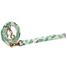 ALL ABOUT GREEN LEASH