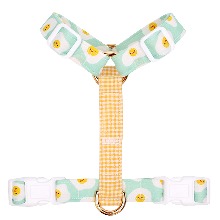 SUNNY SIDE UP HARNESS